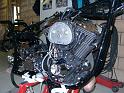 Uelis Harleys08